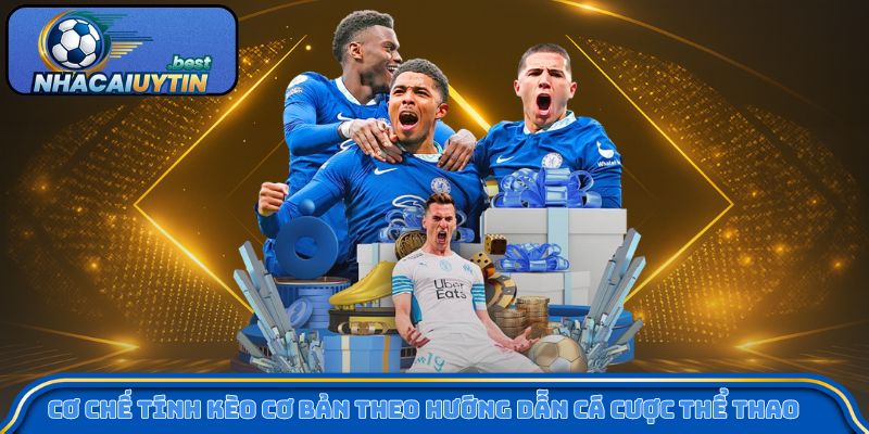 Cơ chế tính kèo cơ bản theo hướng dẫn cá cược thể thao