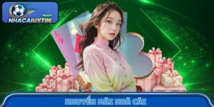 Khuyến mãi nhà cái