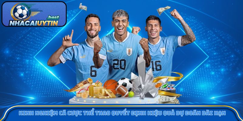 Kinh nghiệm cá cược thể thao quyết định hiệu quả dự đoán dài hạn